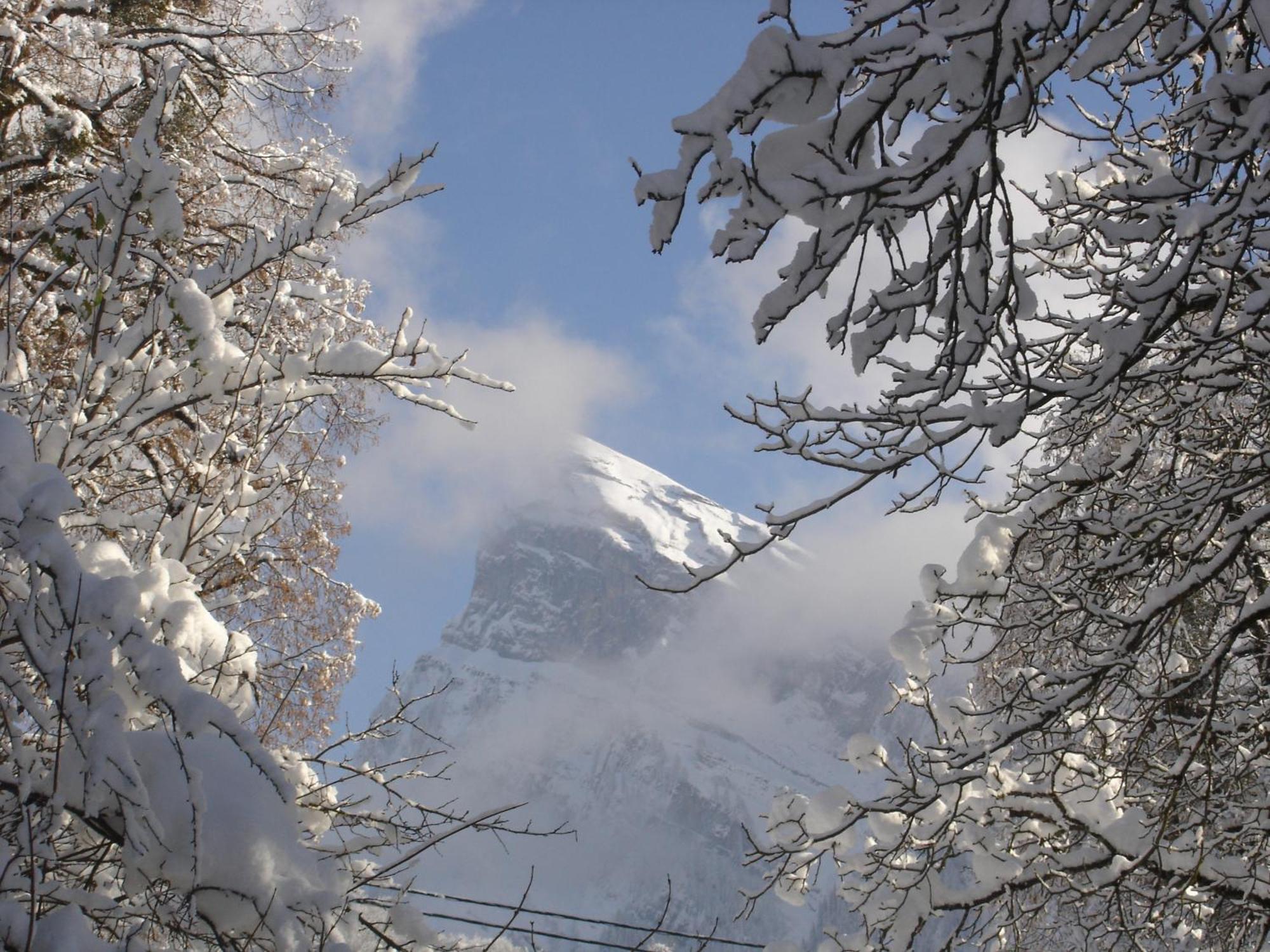 Edelweiss Hotel Samoens Exterior photo