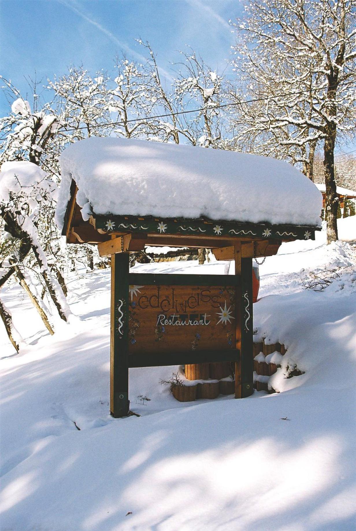 Edelweiss Hotel Samoens Exterior photo